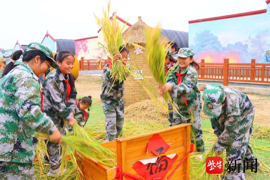 赣榆中心小学，研学与农耕结合，课堂直抵稻田实践