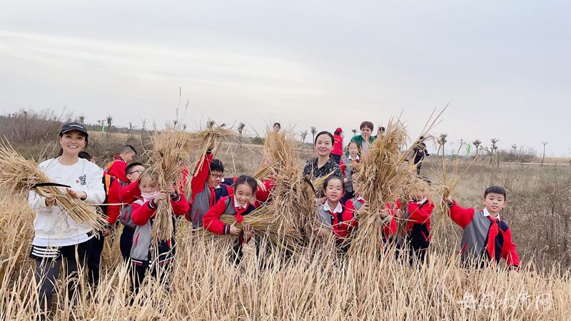 蚌埠禹会区朝阳路第一小学秋季劳动实践活动，收获成长，筑梦未来之旅