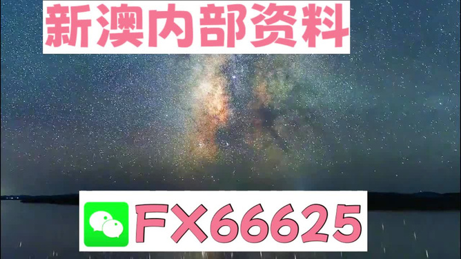 新澳2024正版免费资料,稳健性策略评估_XE版69.964