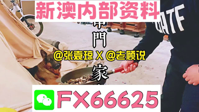 新澳门管家婆一句,数据资料解释落实_专属版94.448