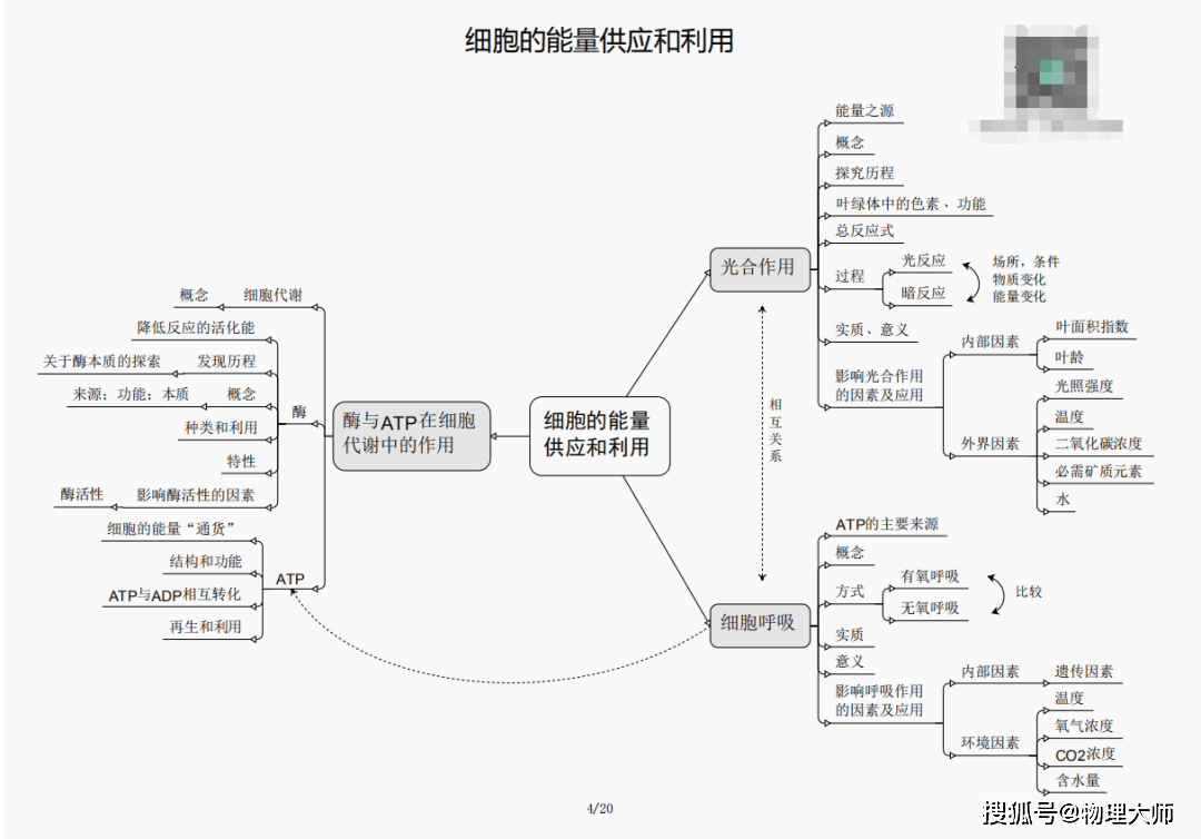 白小姐三肖三期必出一期开奖虎年,数据说明解析_探索版44.494