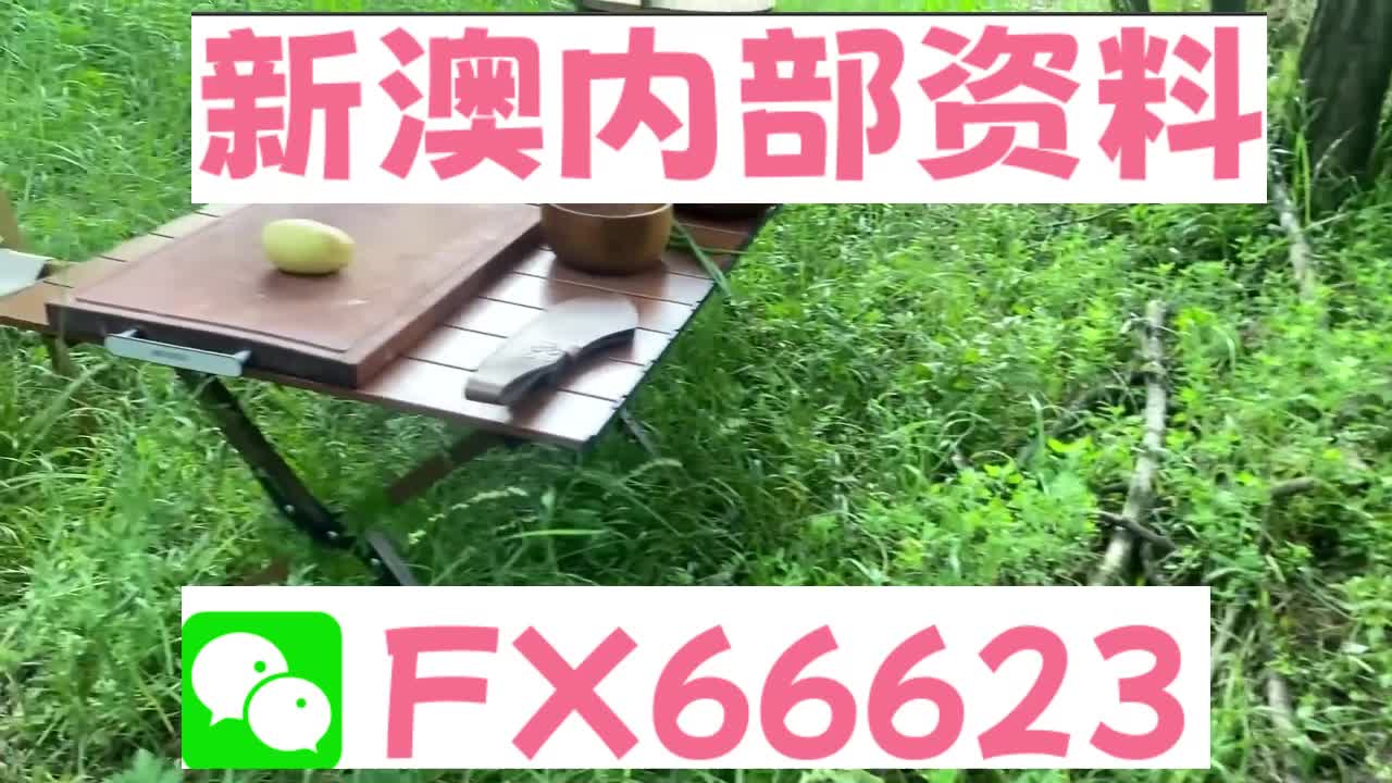 新澳精准资料大全,理论依据解释定义_尊享款49.649