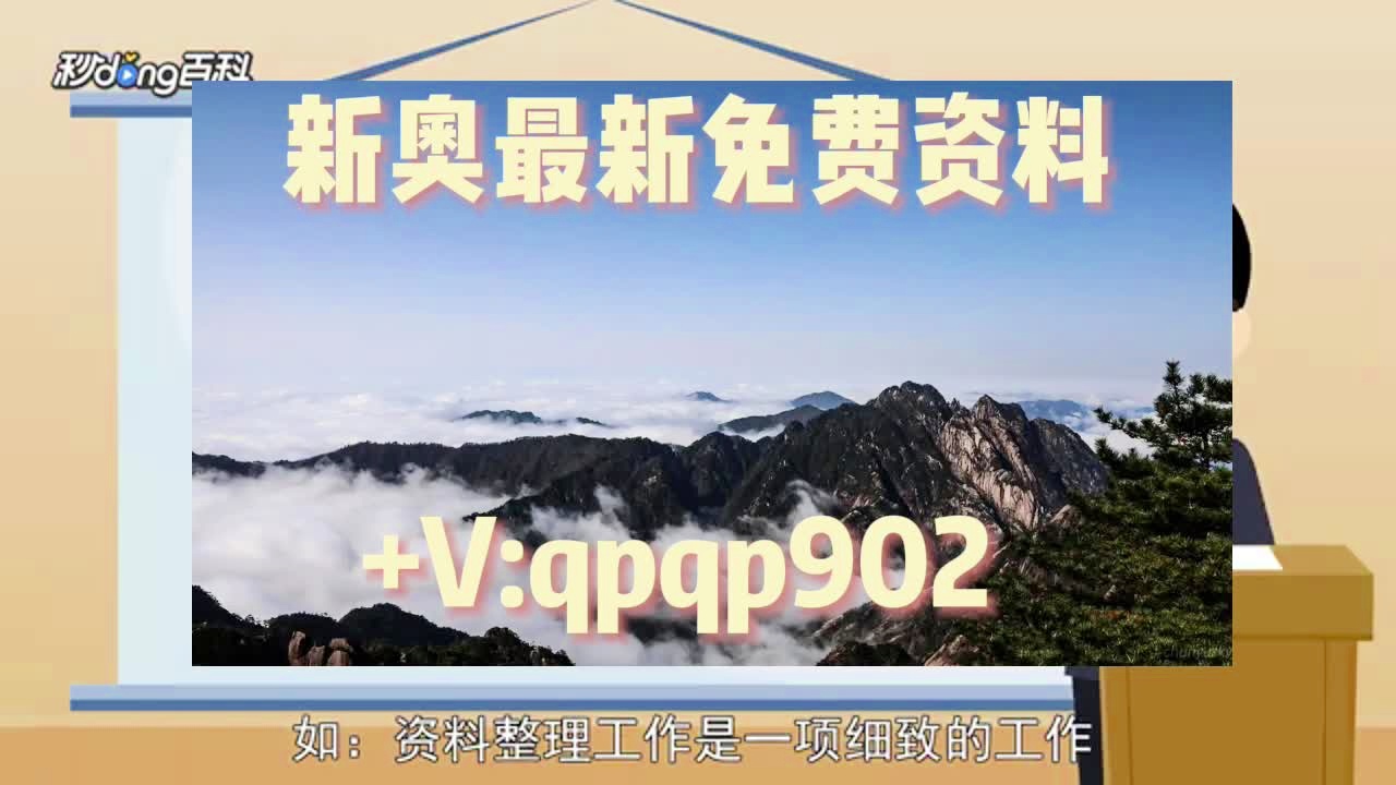 新奥免费精准资料大全,效率资料解释落实_定制版64.884