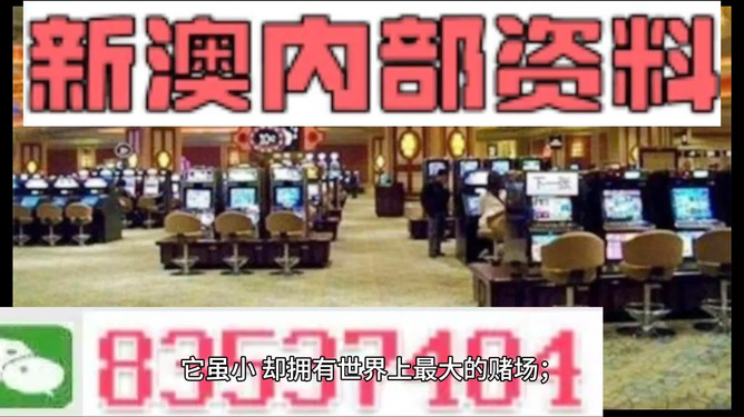 2024新澳正版免费资料大全,调整方案执行细节_Lite88.999