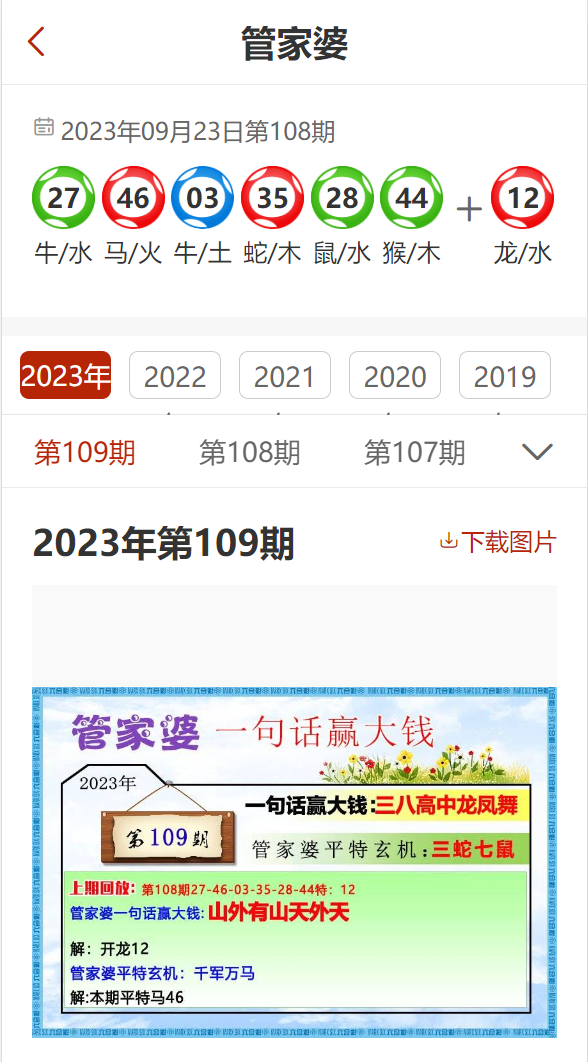 管家婆202年资料一肖解析,适用性方案解析_X版28.846