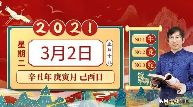 2024今晚开特马开奖,最新动态方案_交互版95.489