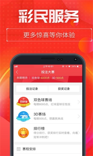 王中王中特网资料大全,仿真实现技术_进阶款29.449