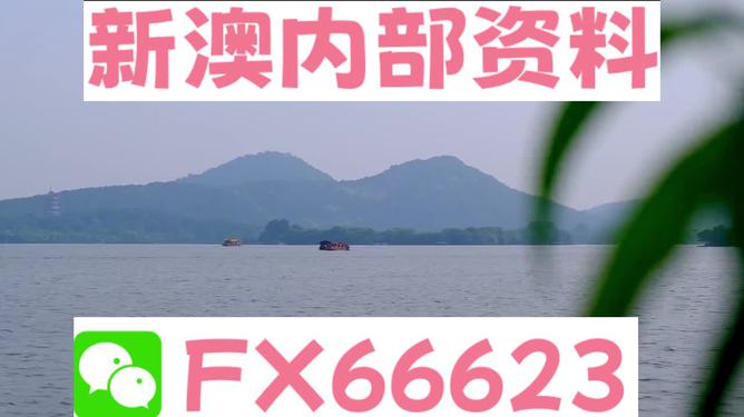 新澳2024正版资料免费公开,灵活性操作方案_tool48.855