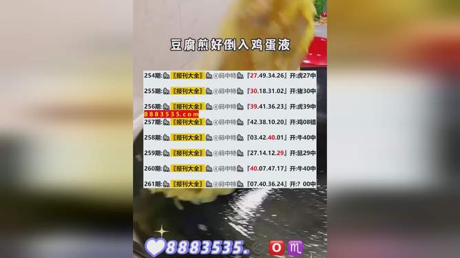 新澳2024今晚开奖资料查询结果,权威诠释推进方式_Prime48.569