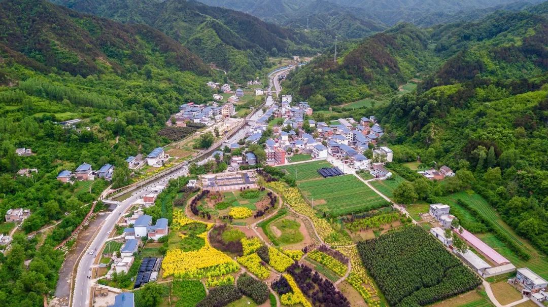 峨眉山市燃气断供危机，近四个月困境与应对策略挑战超千户居民生存挑战